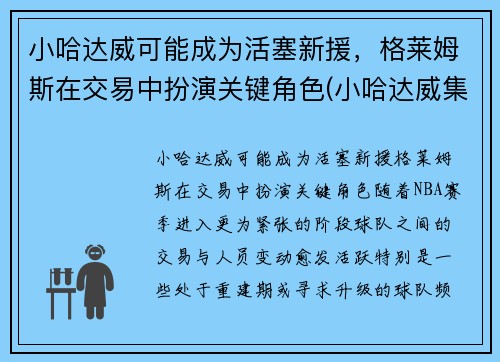 小哈达威可能成为活塞新援，格莱姆斯在交易中扮演关键角色(小哈达威集锦)