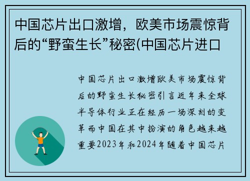 中国芯片出口激增，欧美市场震惊背后的“野蛮生长”秘密(中国芯片进口额)